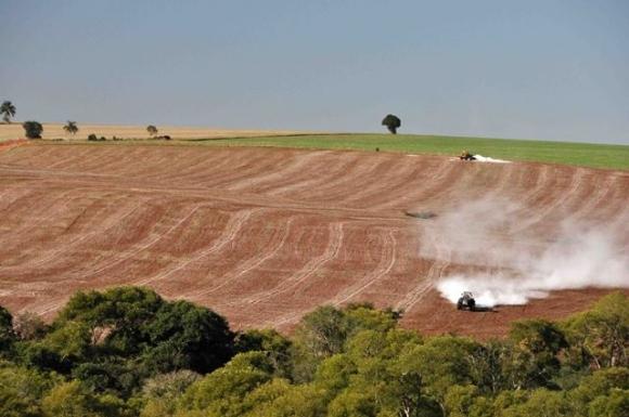 A importância da correção de solo ligada a calcário e gesso.